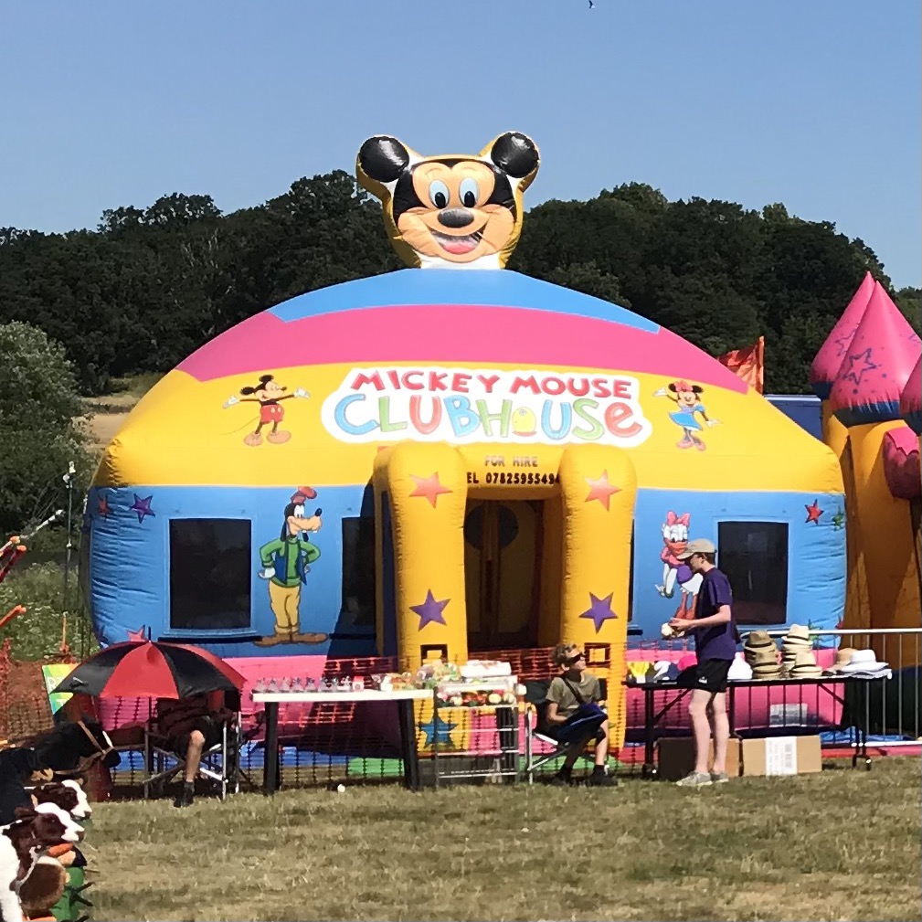 Mickey Mouse Inflatable Dome